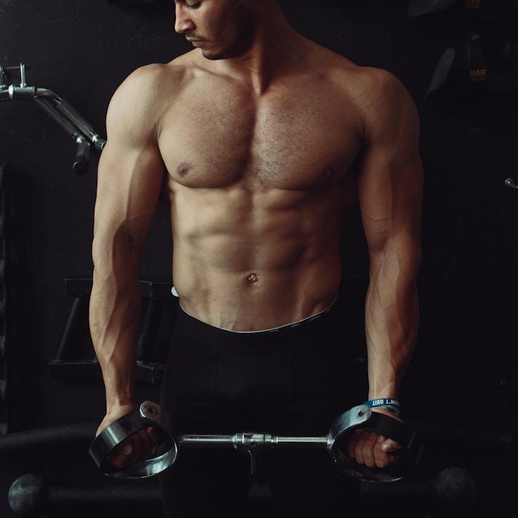 Professional gym interior with strength equipment